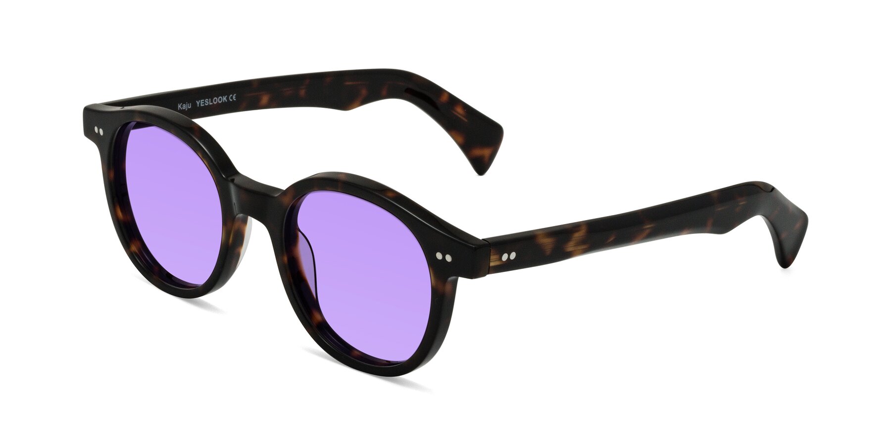 Angle of Kaju in Dark Tortoise with Medium Purple Tinted Lenses