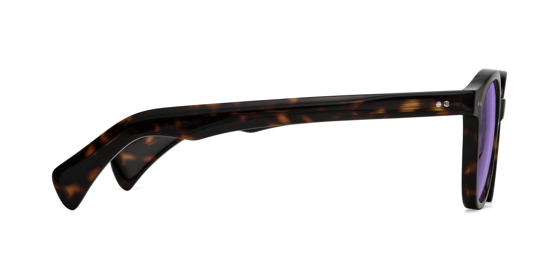 Side of Kaju in Dark Tortoise with Medium Purple Tinted Lenses