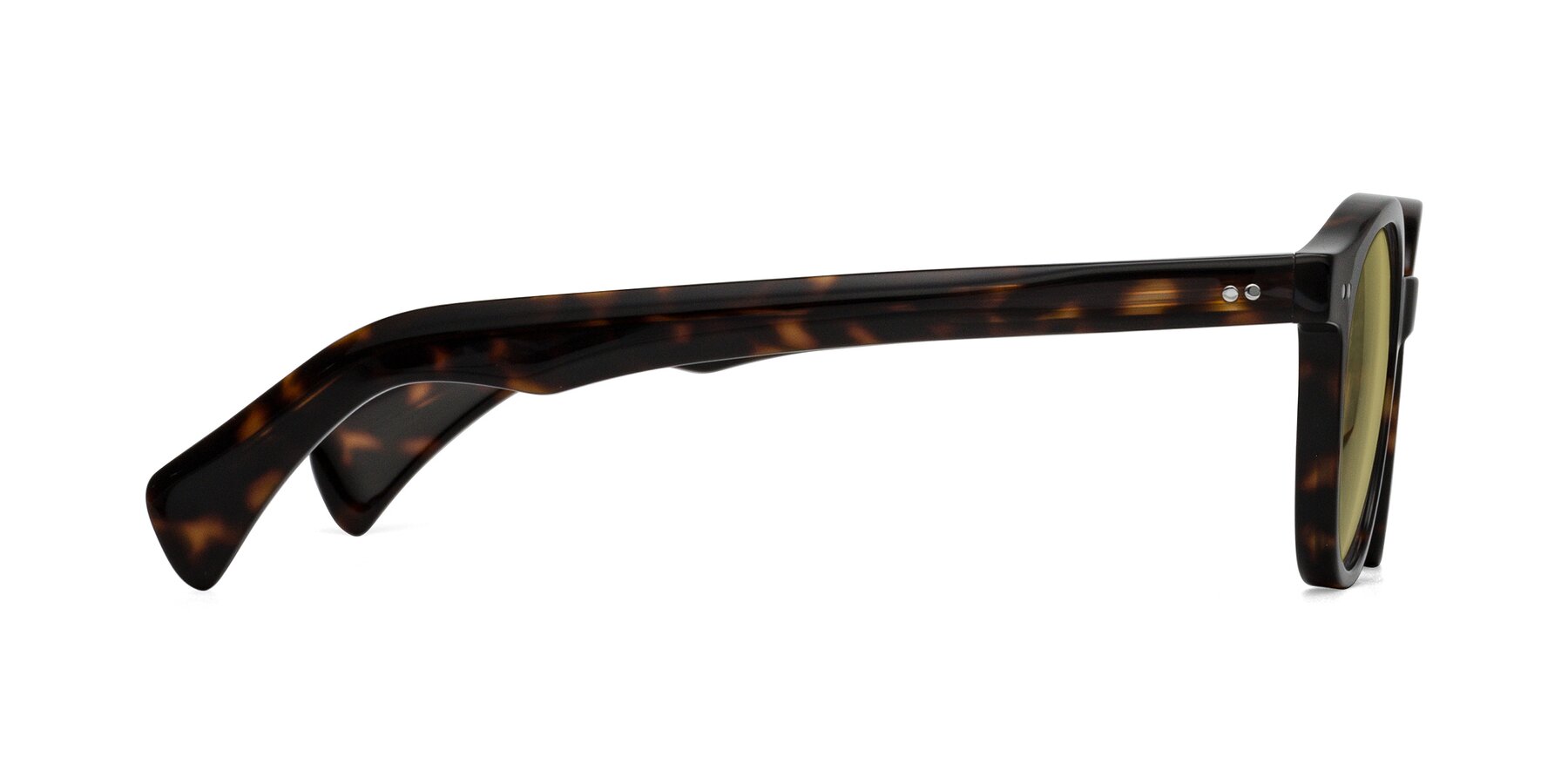 Side of Kaju in Dark Tortoise with Medium Champagne Tinted Lenses