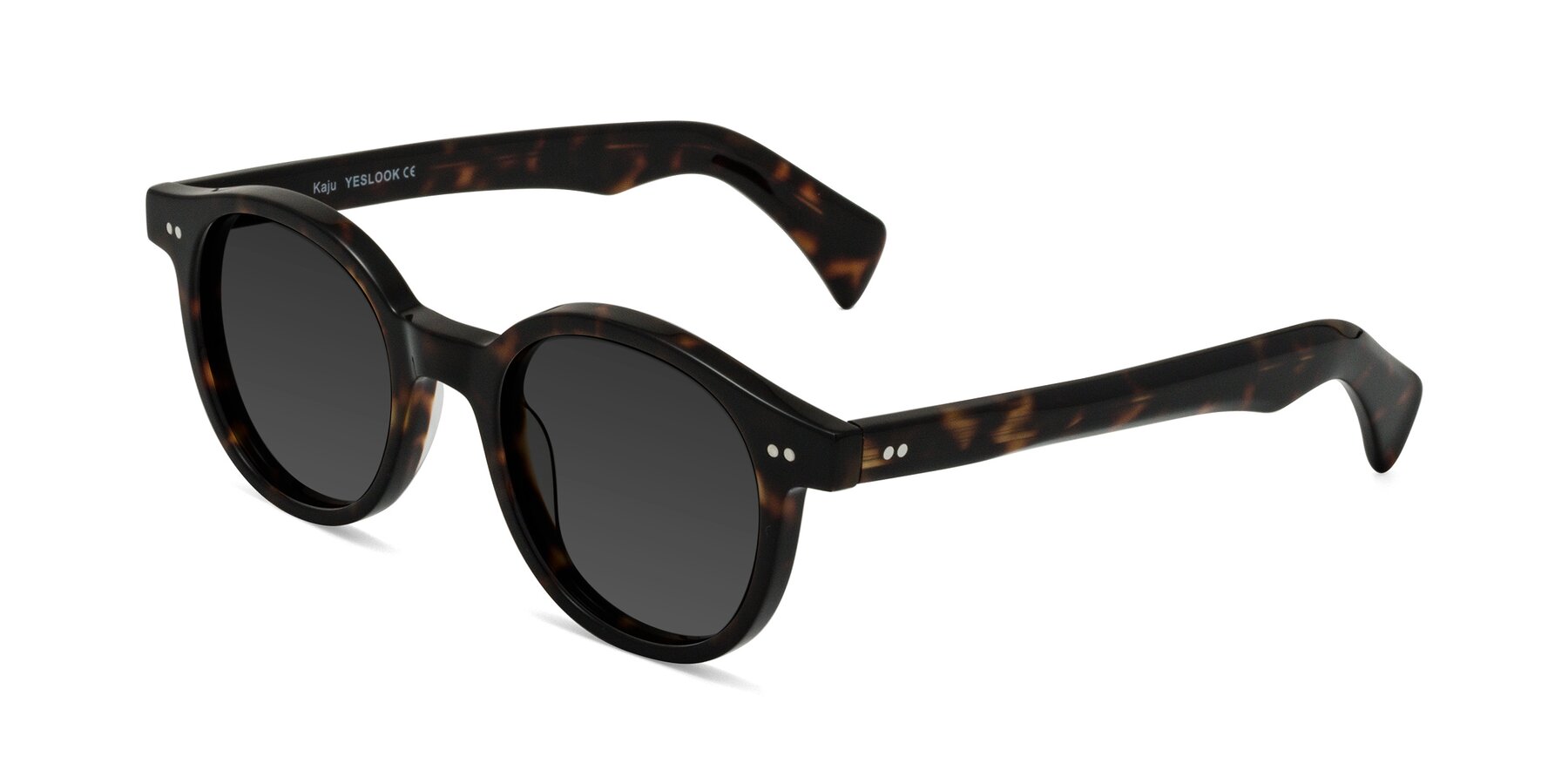 Angle of Kaju in Dark Tortoise with Gray Tinted Lenses