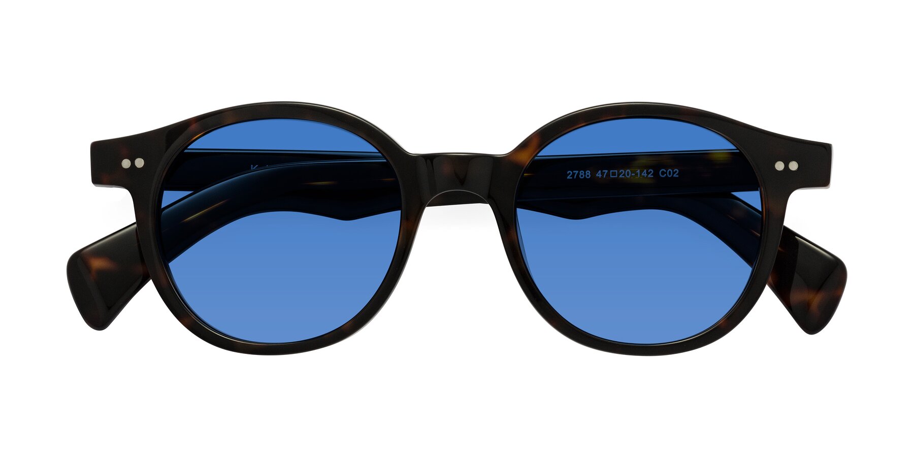 Folded Front of Kaju in Dark Tortoise with Blue Tinted Lenses