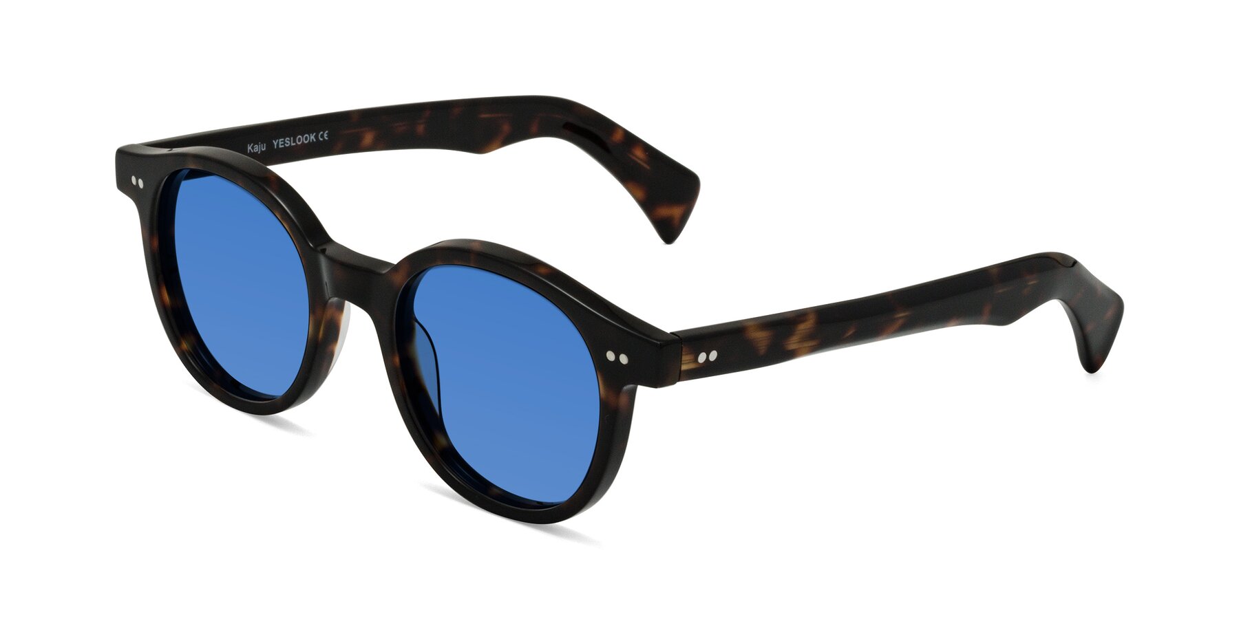 Angle of Kaju in Dark Tortoise with Blue Tinted Lenses