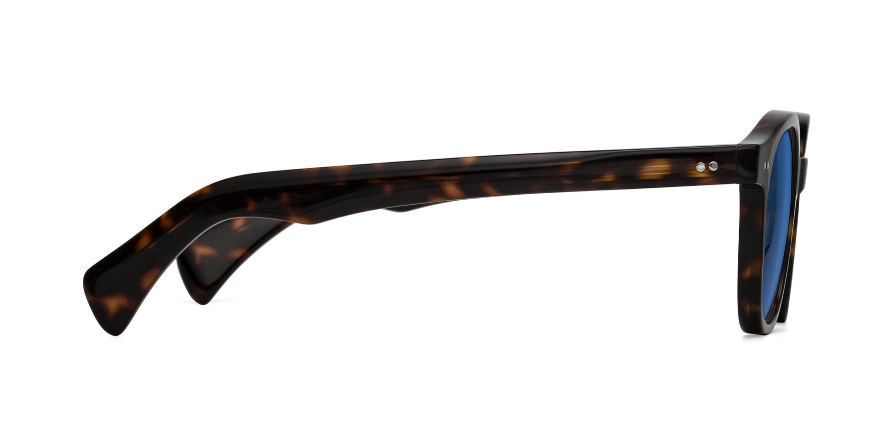 Side of Kaju in Dark Tortoise with Blue Tinted Lenses