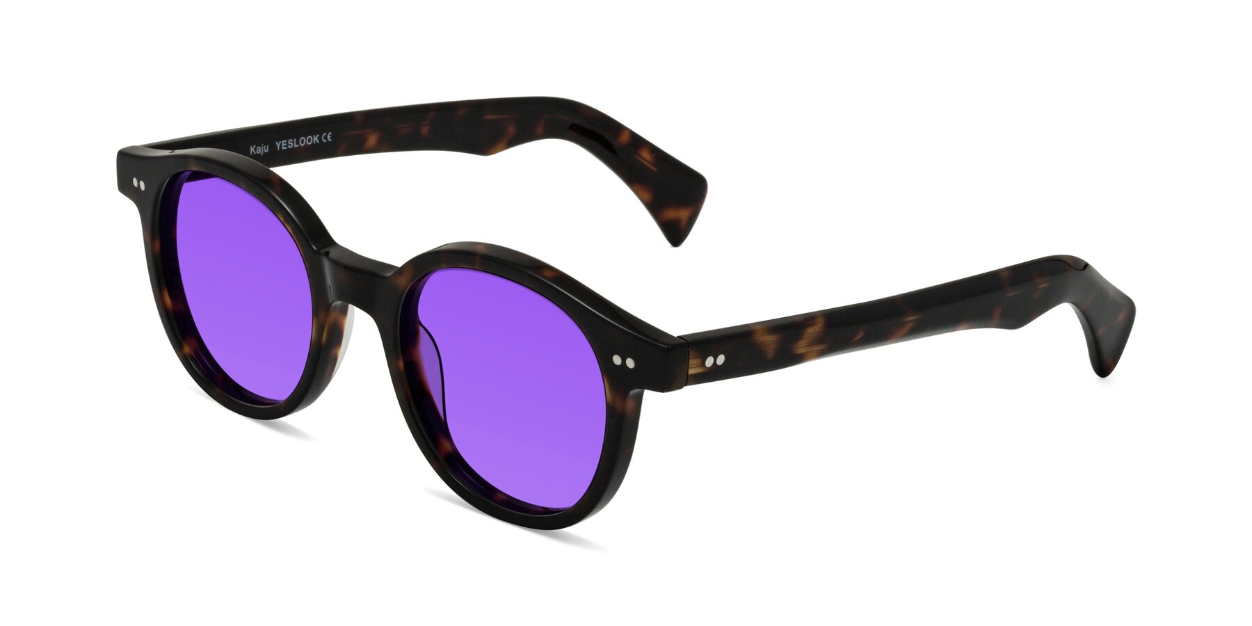 Angle of Kaju in Dark Tortoise with Purple Tinted Lenses