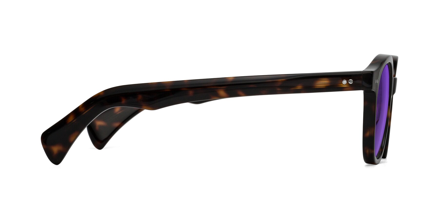 Side of Kaju in Dark Tortoise with Purple Tinted Lenses