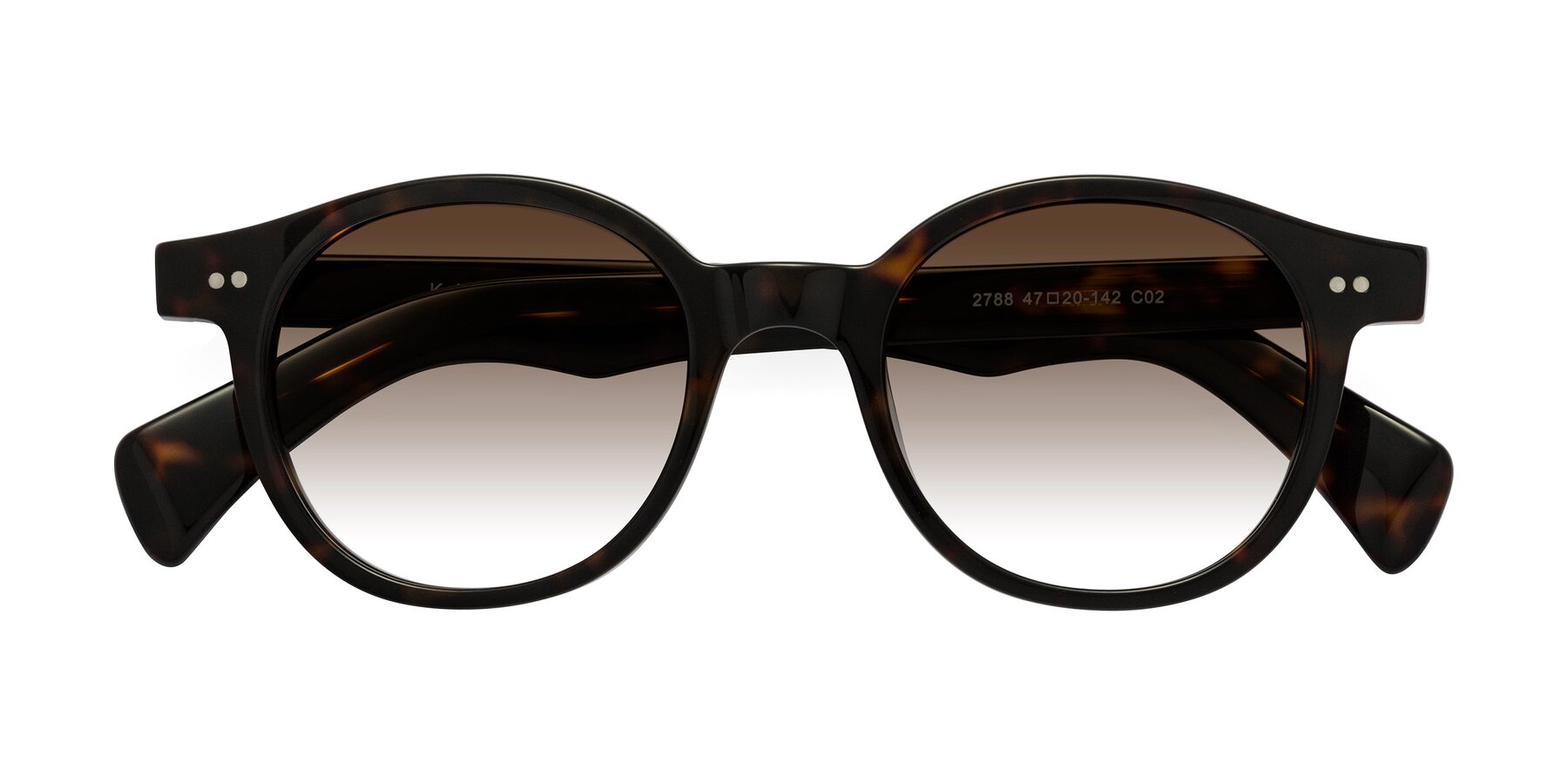 Folded Front of Kaju in Dark Tortoise with Brown Gradient Lenses