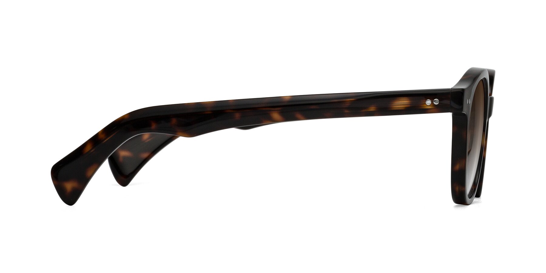 Side of Kaju in Dark Tortoise with Brown Gradient Lenses