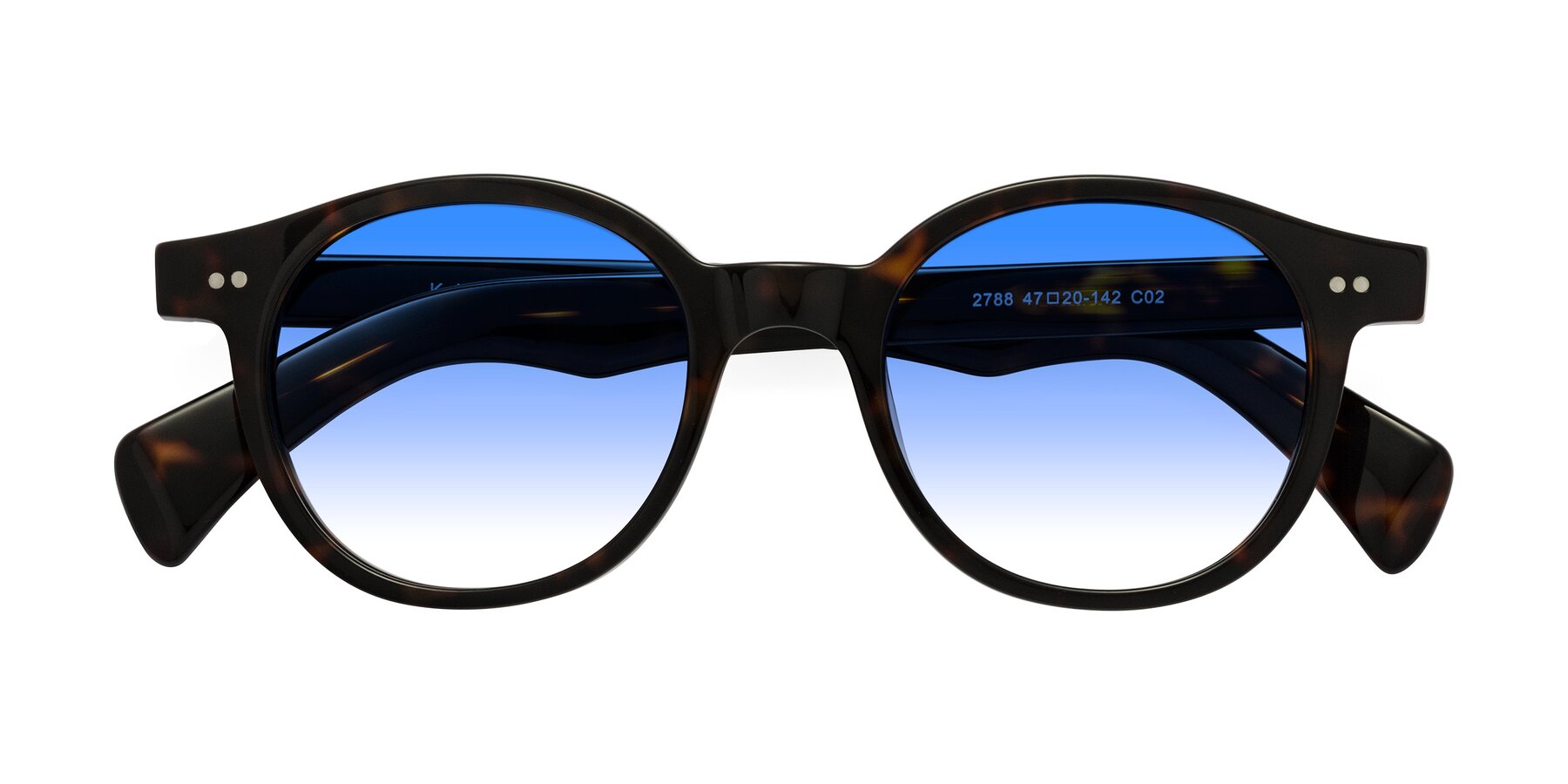 Folded Front of Kaju in Dark Tortoise with Blue Gradient Lenses