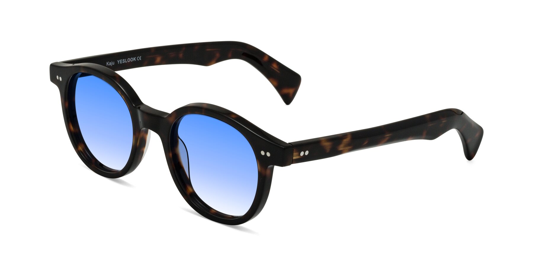 Angle of Kaju in Dark Tortoise with Blue Gradient Lenses