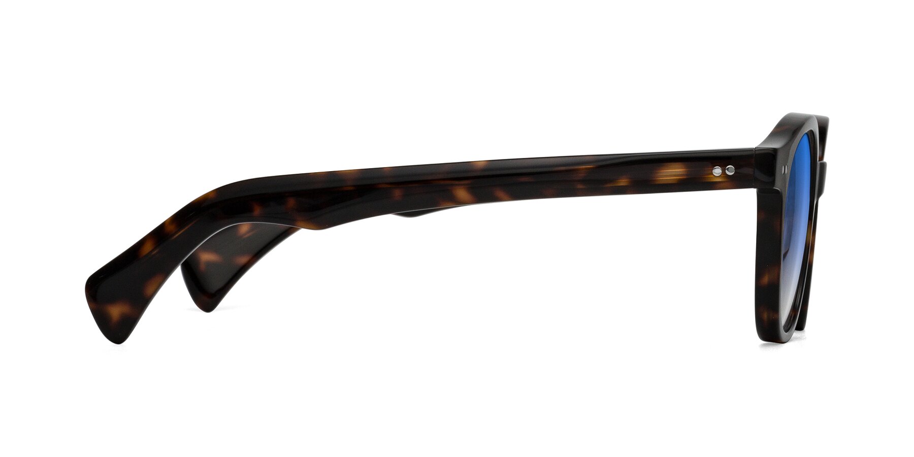 Side of Kaju in Dark Tortoise with Blue Gradient Lenses