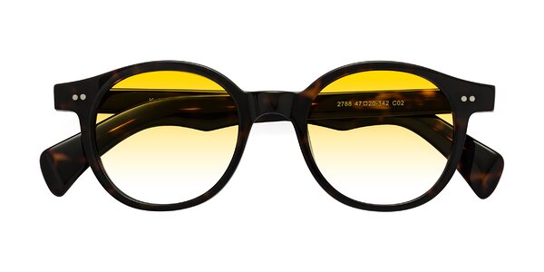Front of Kaju in Dark Tortoise