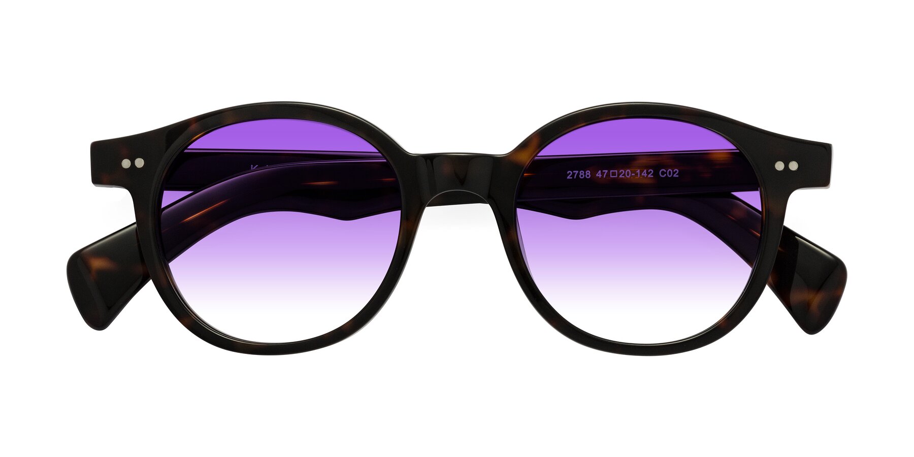Folded Front of Kaju in Dark Tortoise with Purple Gradient Lenses