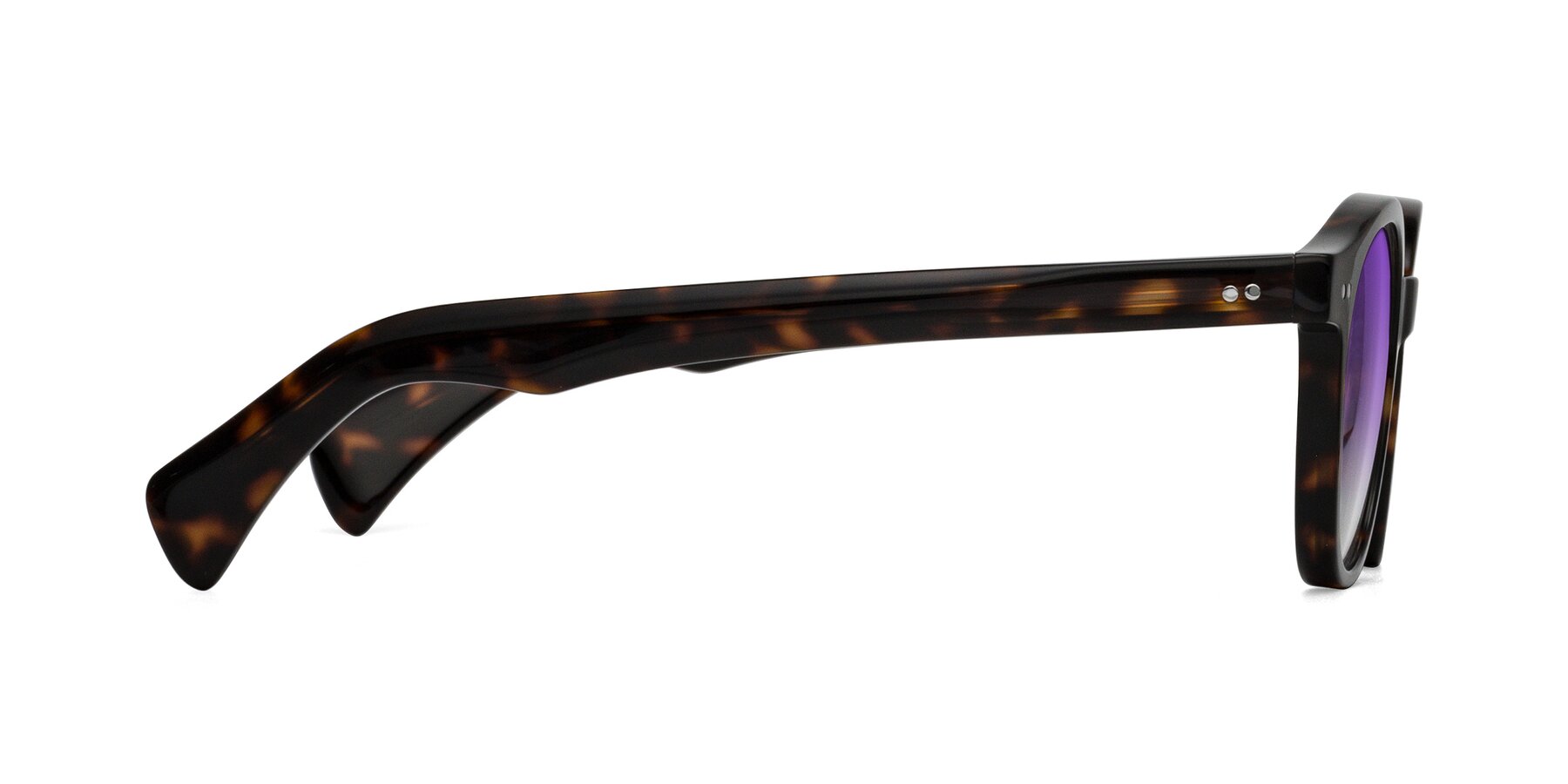 Side of Kaju in Dark Tortoise with Purple Gradient Lenses