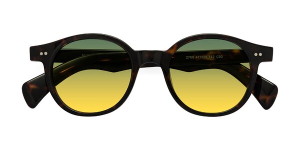 Front of Kaju in Dark Tortoise