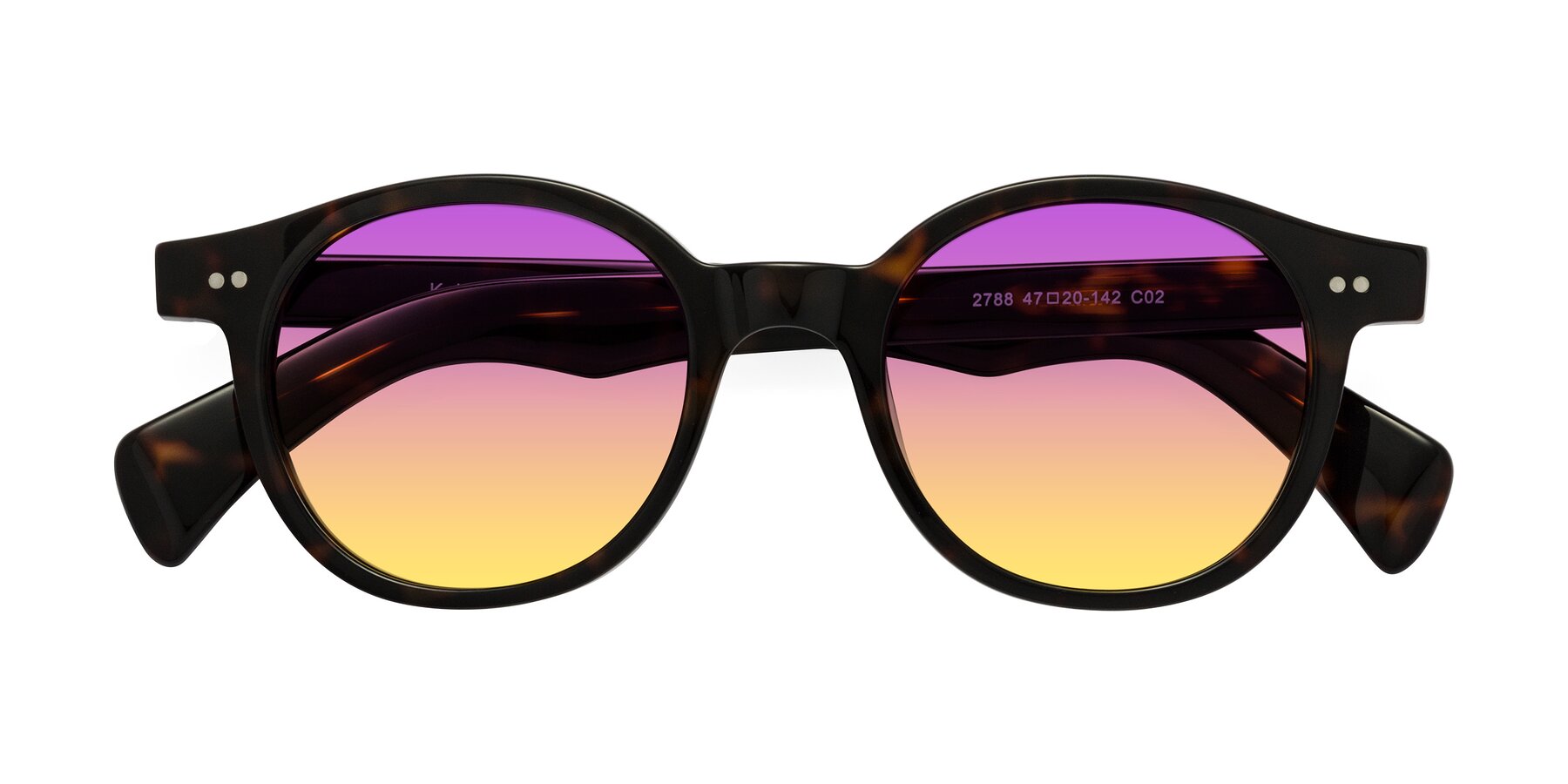 Folded Front of Kaju in Dark Tortoise with Purple / Yellow Gradient Lenses