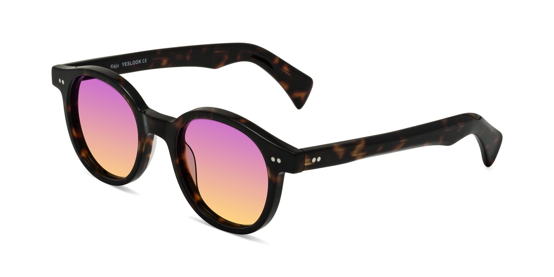 Angle of Kaju in Dark Tortoise with Purple / Yellow Gradient Lenses