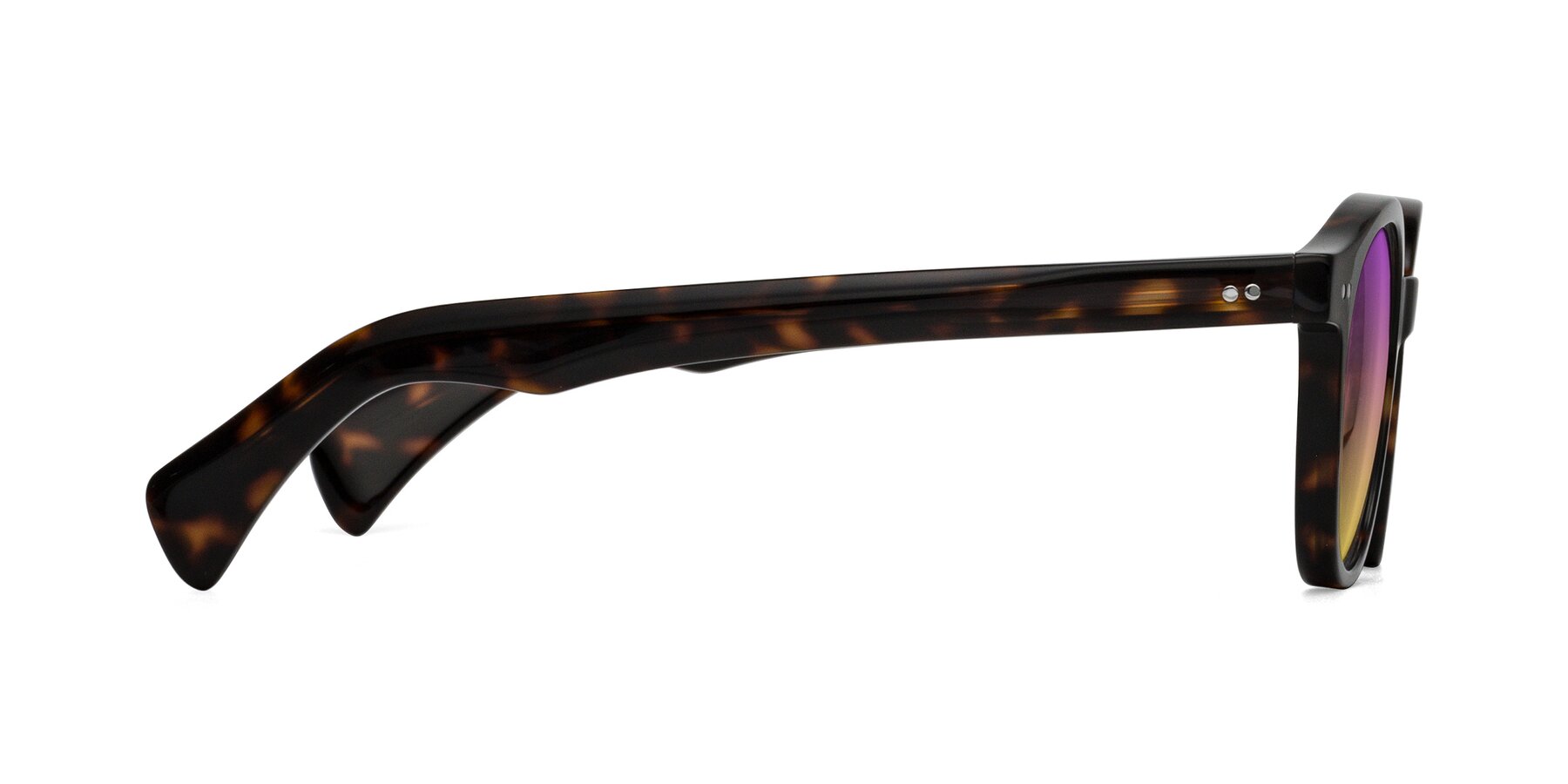 Side of Kaju in Dark Tortoise with Purple / Yellow Gradient Lenses