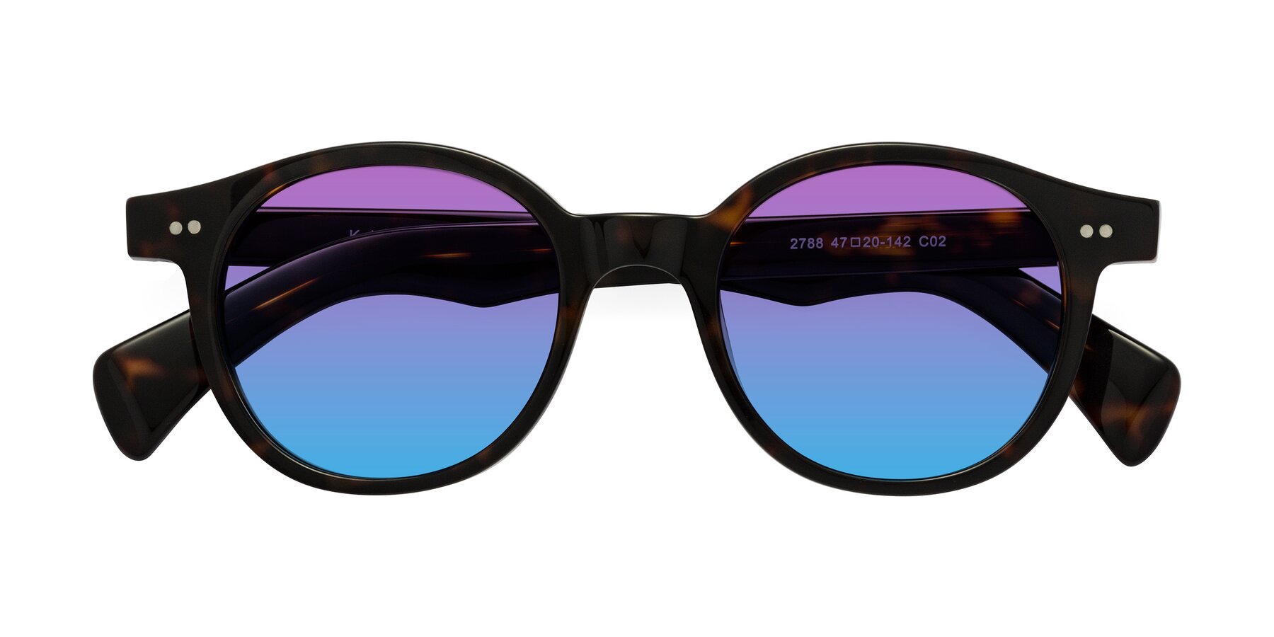 Folded Front of Kaju in Dark Tortoise with Purple / Blue Gradient Lenses