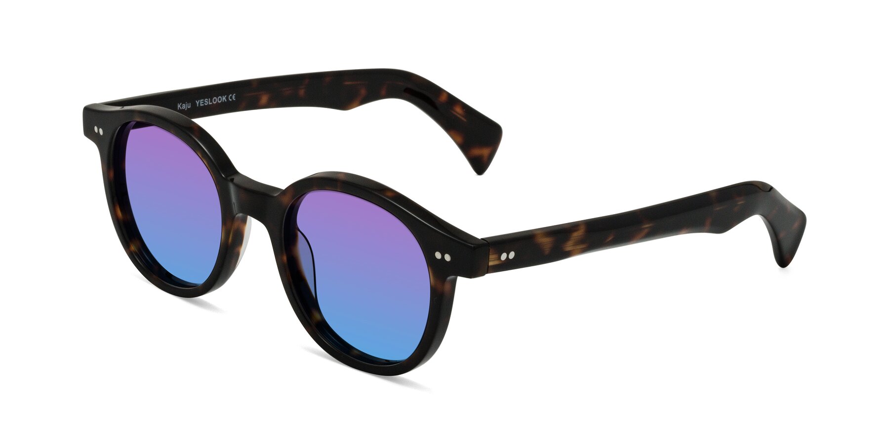 Angle of Kaju in Dark Tortoise with Purple / Blue Gradient Lenses