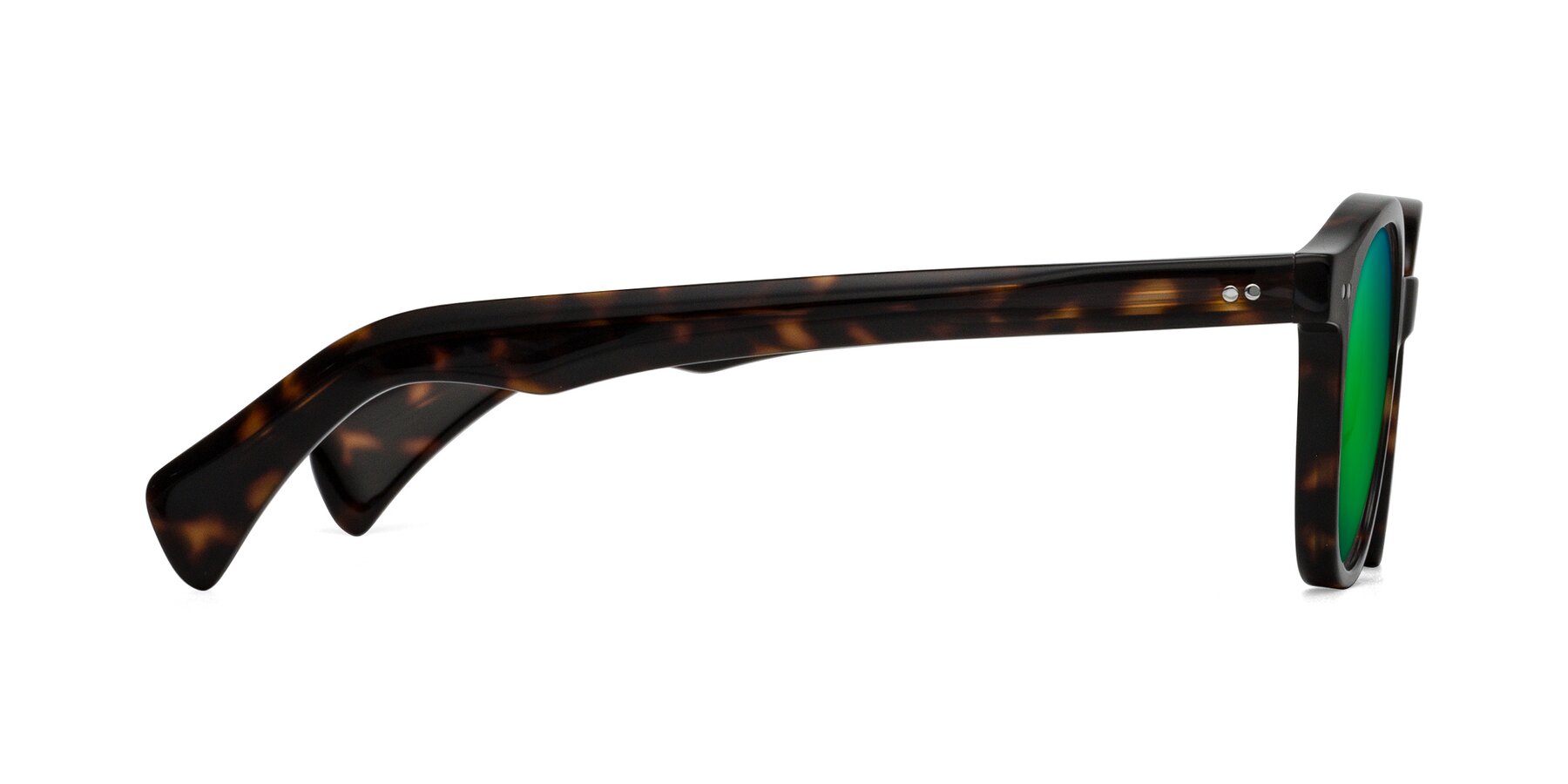 Side of Kaju in Dark Tortoise with Green Mirrored Lenses