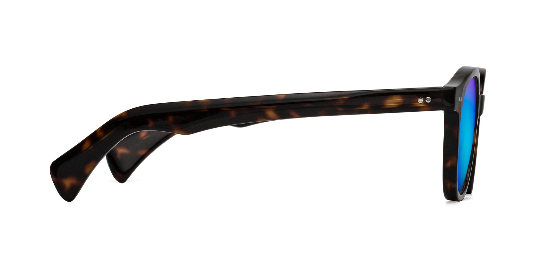 Side of Kaju in Dark Tortoise with Blue Mirrored Lenses