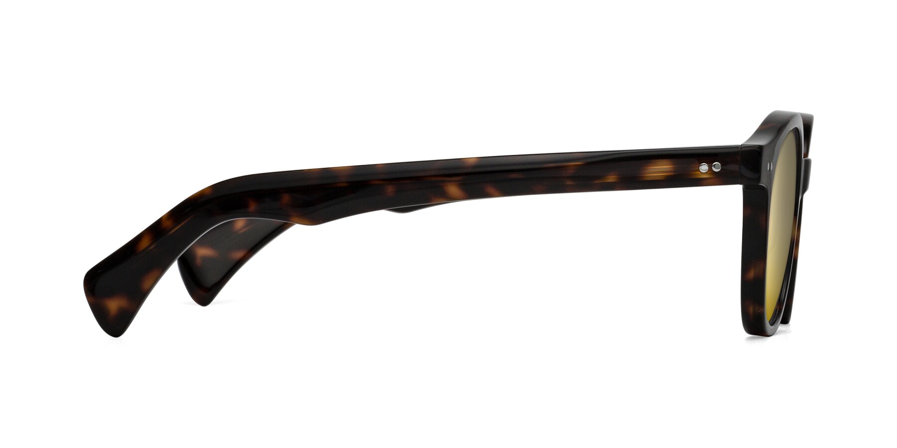 Side of Kaju in Dark Tortoise with Gold Mirrored Lenses