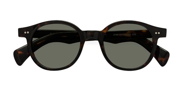 Front of Kaju in Dark Tortoise