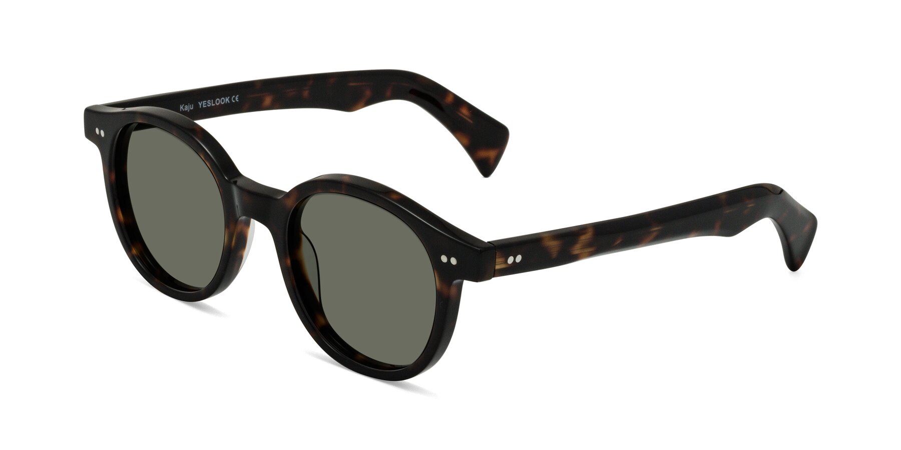 Angle of Kaju in Dark Tortoise with Gray Polarized Lenses
