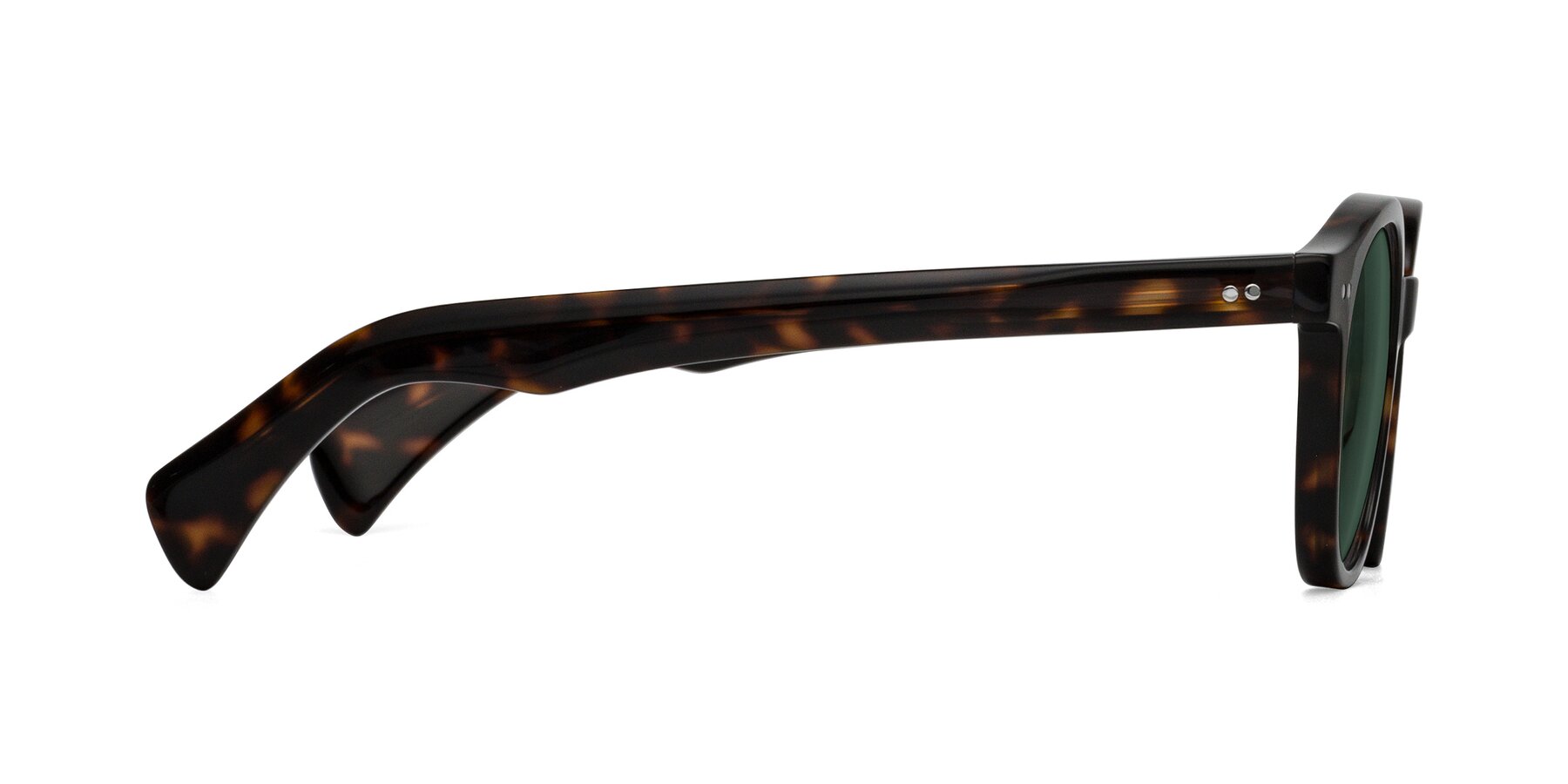 Side of Kaju in Dark Tortoise with Green Polarized Lenses