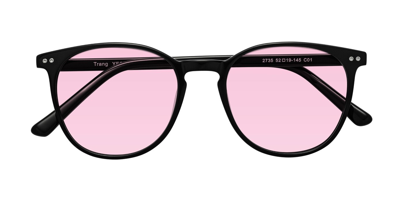 Trang - Black Tinted Sunglasses
