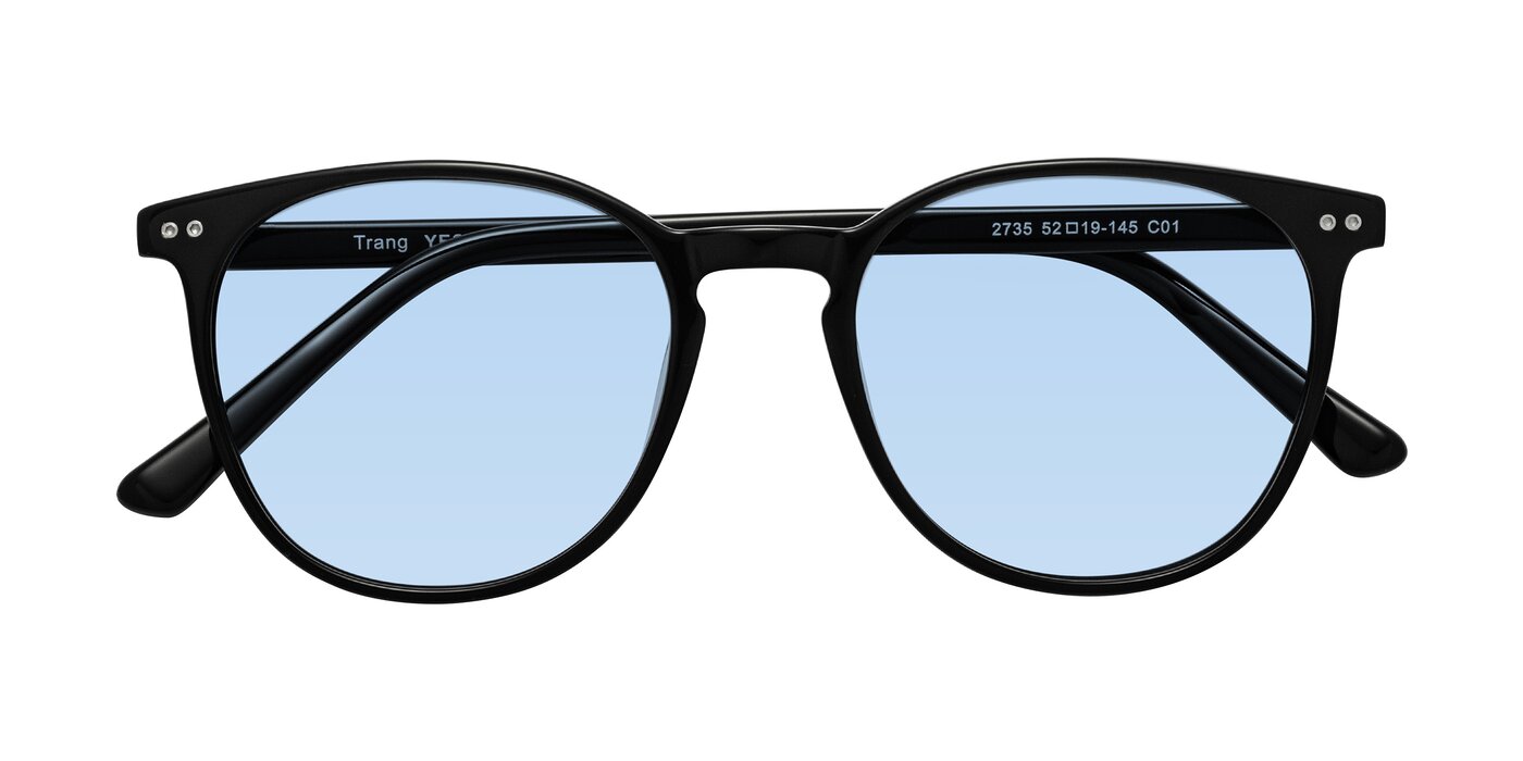 Trang - Black Tinted Sunglasses