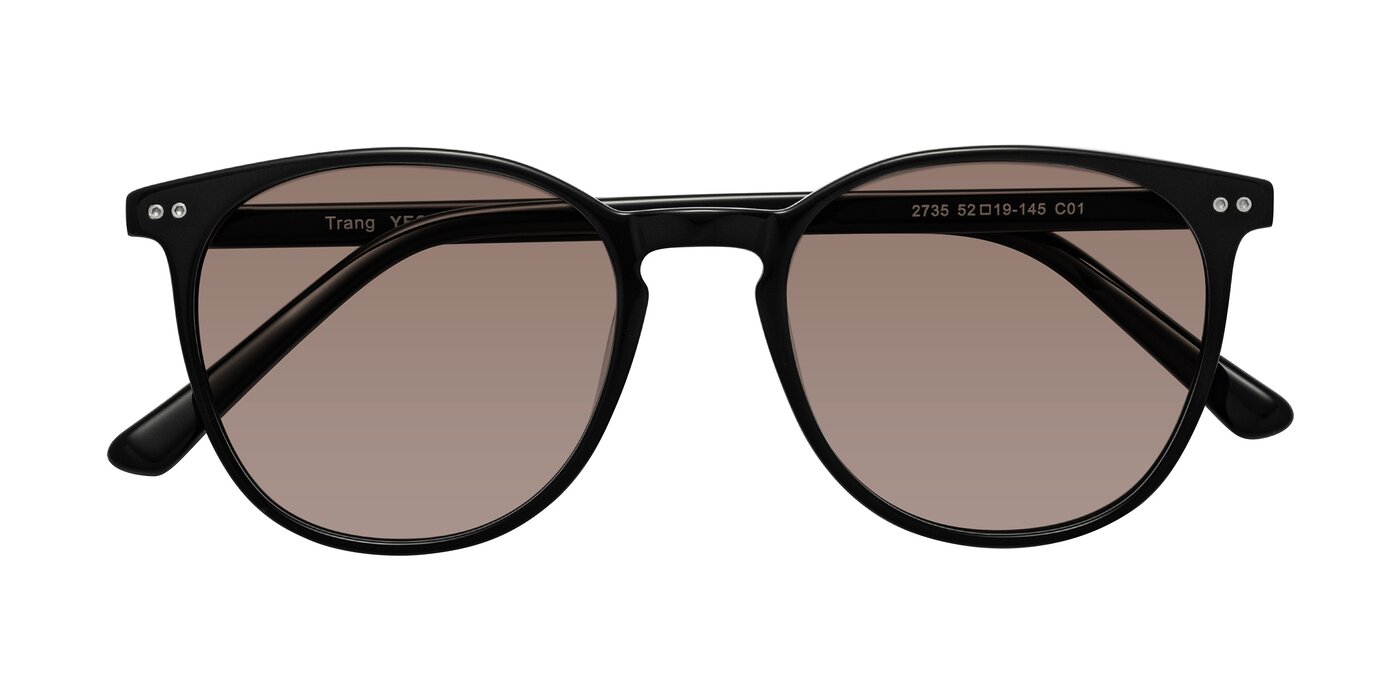 Trang - Black Tinted Sunglasses