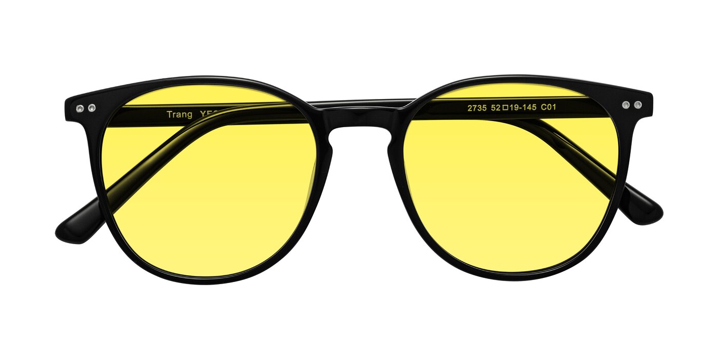 Trang - Black Tinted Sunglasses