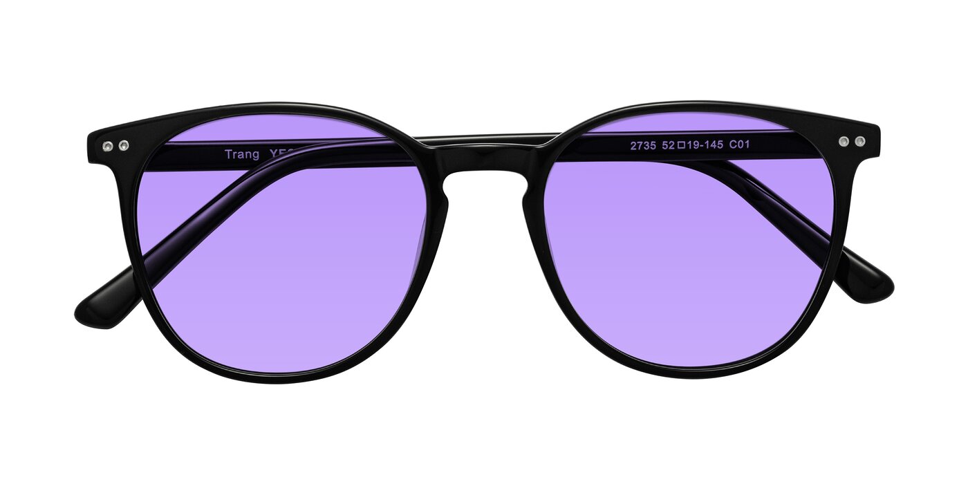 Trang - Black Tinted Sunglasses
