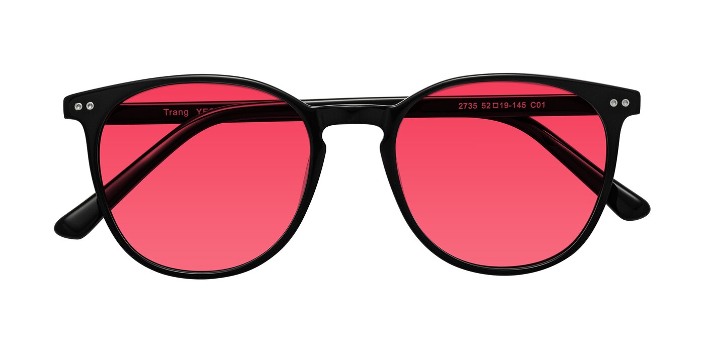 Trang - Black Tinted Sunglasses