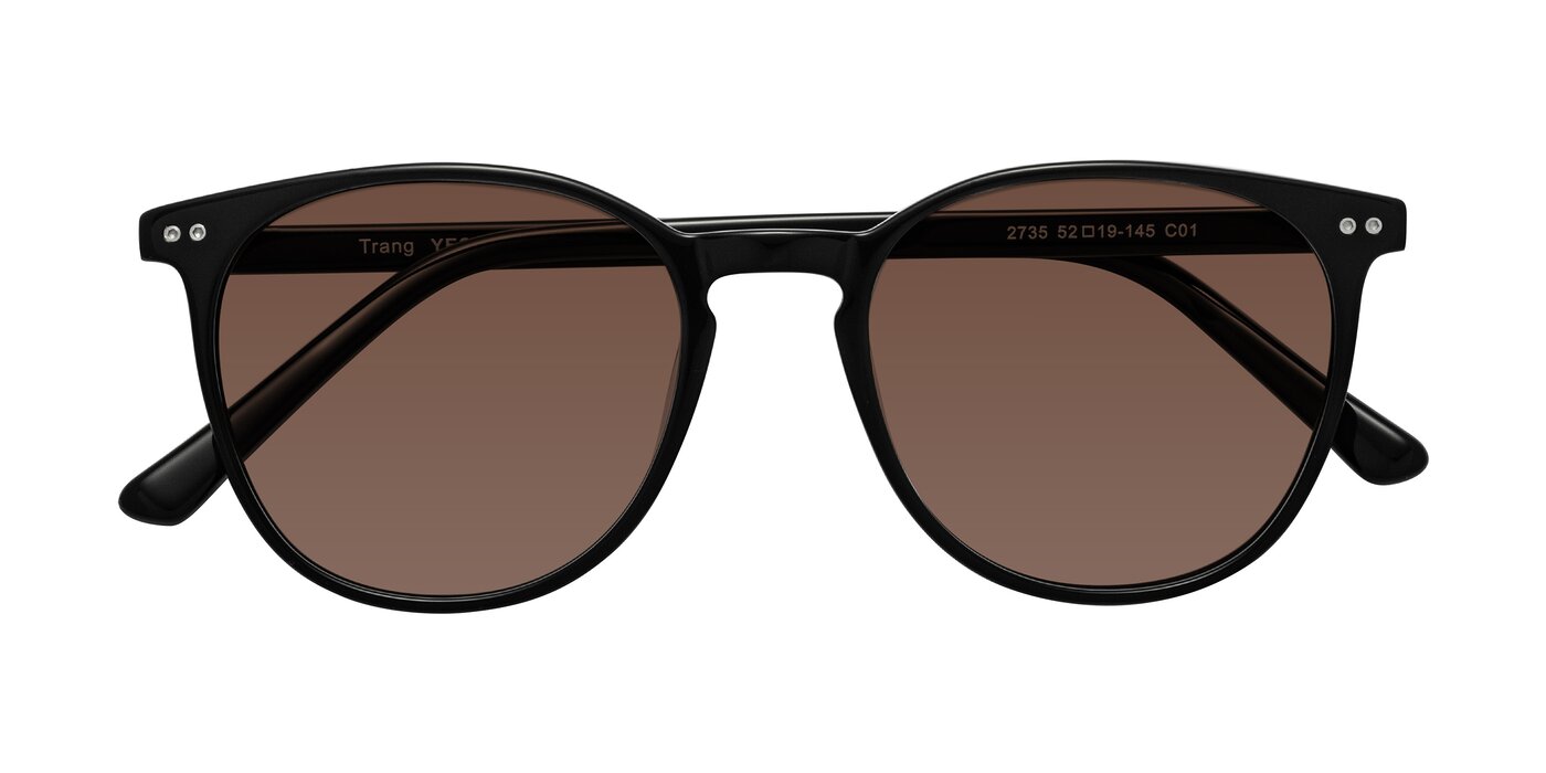 Trang - Black Tinted Sunglasses