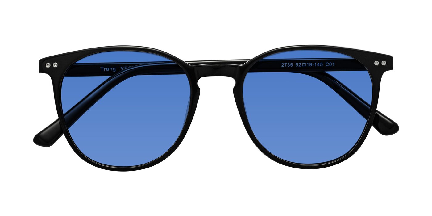 Trang - Black Tinted Sunglasses