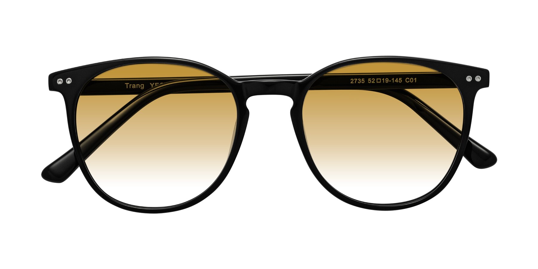 Folded Front of Trang in Black with Champagne Gradient Lenses
