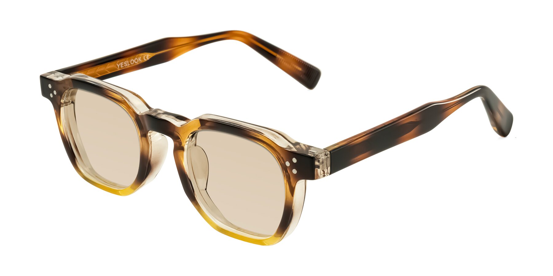 Angle of Fingar in Brown Tortoise with Light Brown Tinted Lenses