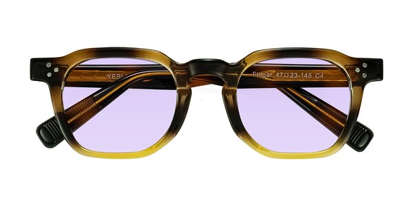 Front of Fingar in Brown Tortoise