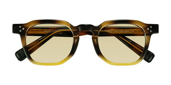 Front of Fingar in Brown Tortoise