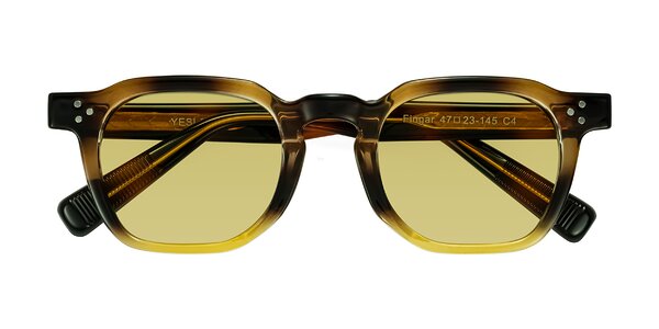 Front of Fingar in Brown Tortoise