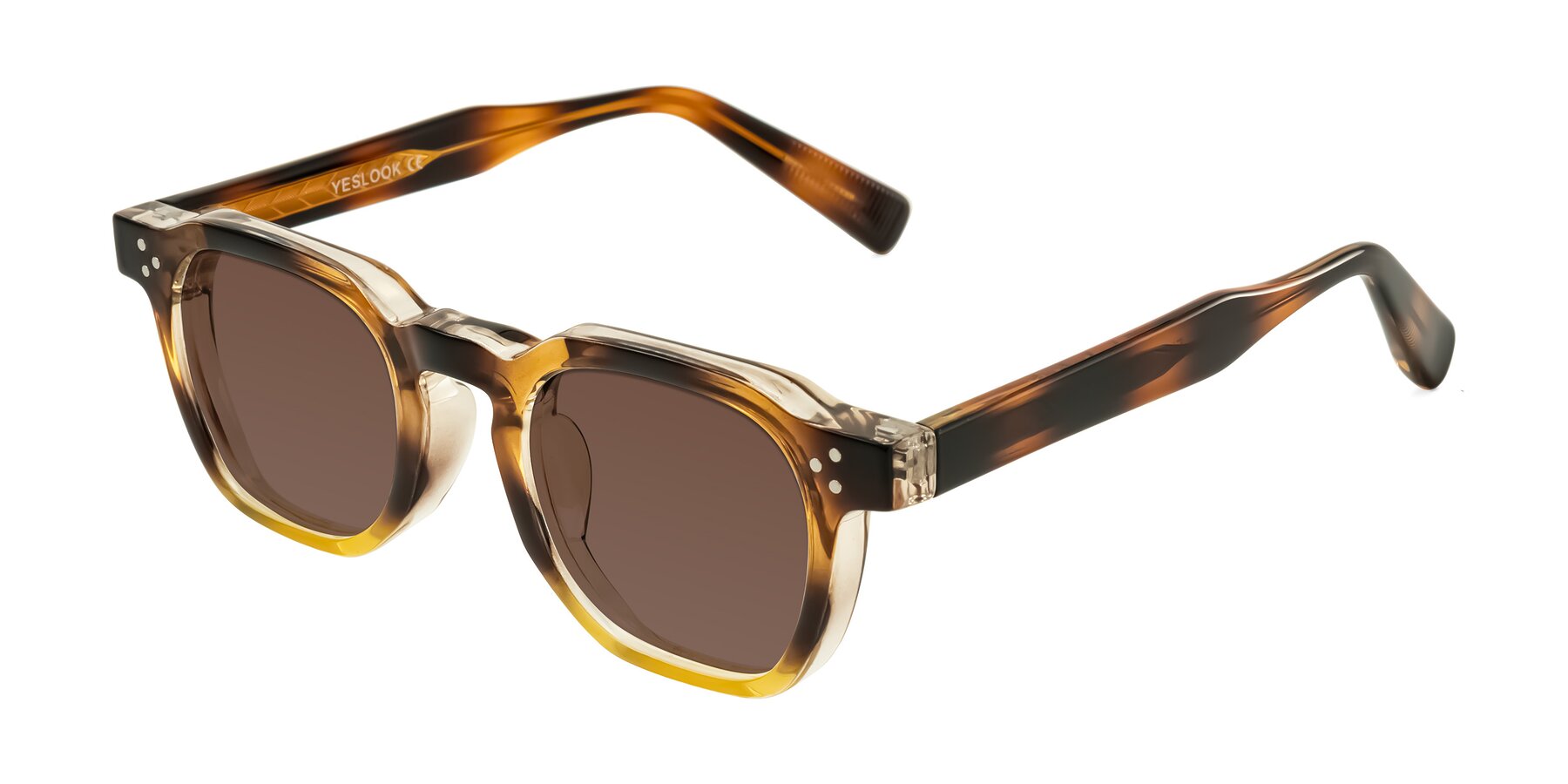 Angle of Fingar in Brown Tortoise with Brown Tinted Lenses