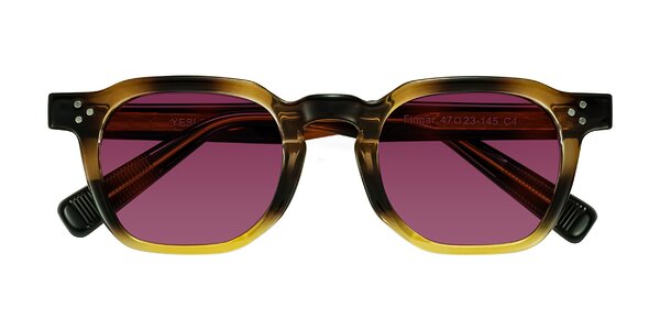 Front of Fingar in Brown Tortoise