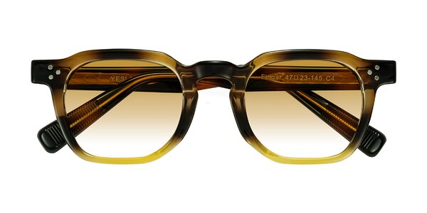 Front of Fingar in Brown Tortoise