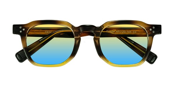 Front of Fingar in Brown Tortoise