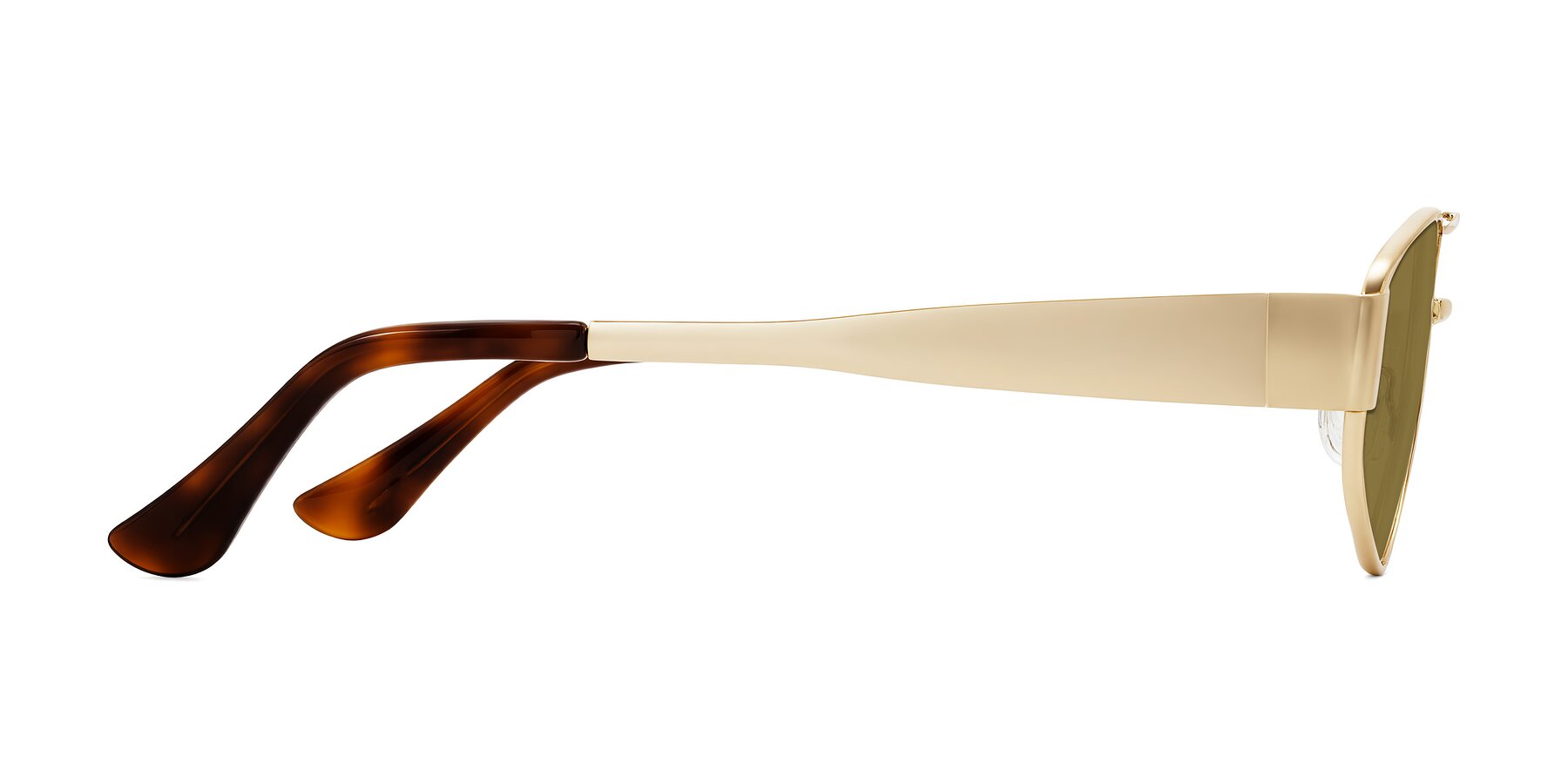 Side of Midney in Gold with Brown Polarized Lenses