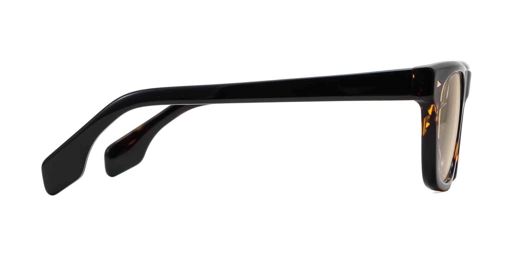 Side of Nesse in Tortoise with Light Brown Tinted Lenses