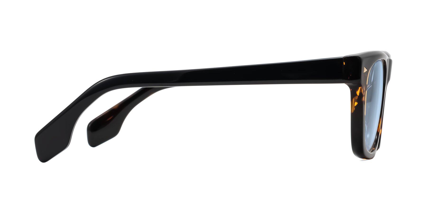 Side of Nesse in Tortoise with Light Blue Tinted Lenses