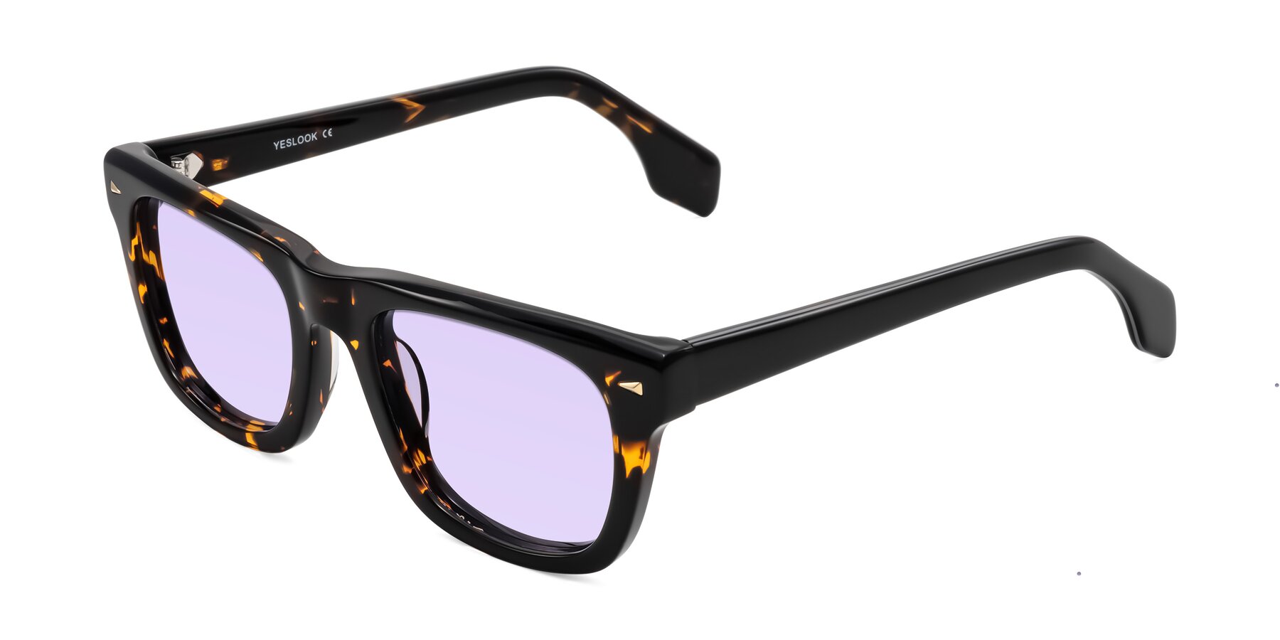 Angle of Nesse in Tortoise with Light Purple Tinted Lenses